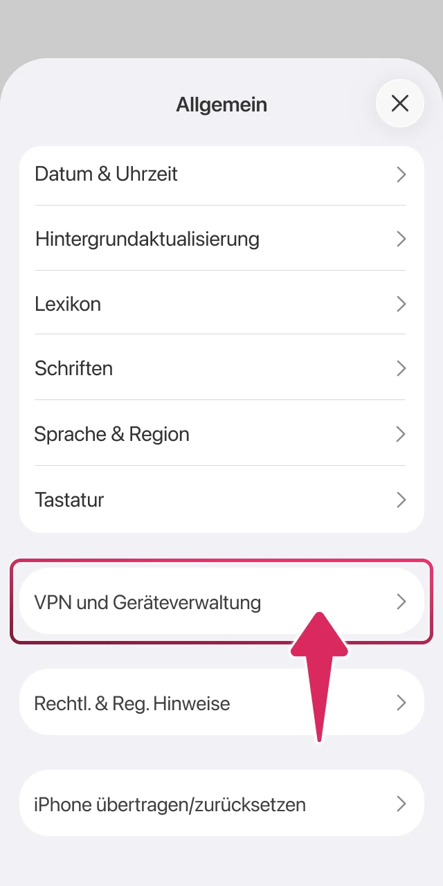 Autorisieren Sie die Installation der Spinrollz App auf Ihrem iPhone.